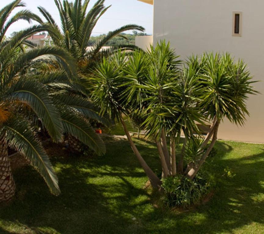 Olga Suites Maleme Extérieur photo